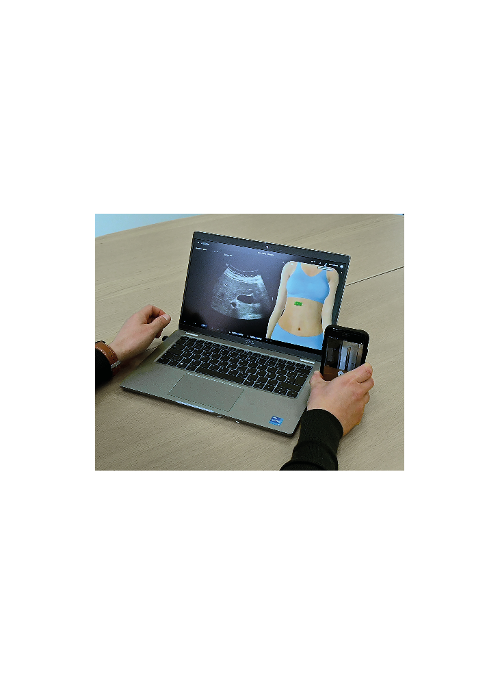 FORMATION A L'ECHOGRAPHIE : NIVEAU INITIATION